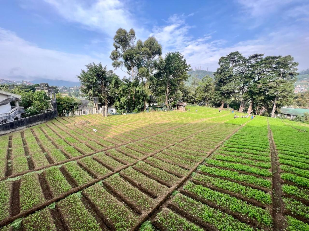 Lake View Residencies Nuwara Eliya Esterno foto
